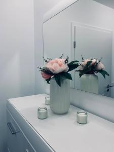 Apartment mit Penthouse Charakter in Dresden