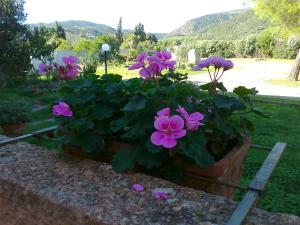 Hotel Su Giudeu img51