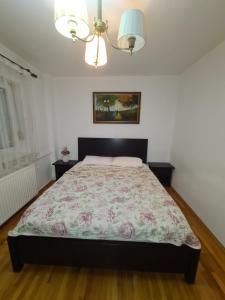 Clasic Apartment Nufarul