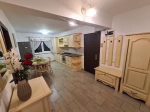 Clasic Apartment Nufarul