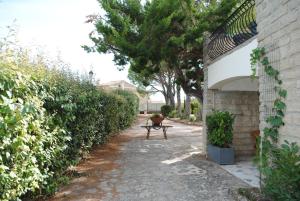 B&B / Chambres d'hotes Terre de Bacchus : photos des chambres