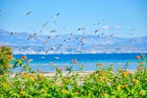 Nikos Kalamaki Corfu - Apraos