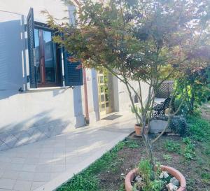 Delizioso appartamento in villa tra mare e città