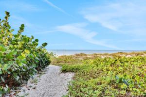 53 Steps to Beach