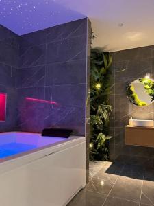 Appartements Loving room cocooning avec jacuzzi « la terre » : photos des chambres