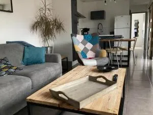 Joli appartement 50 m2 classé 3 etoiles avec terrasse et jardin - La Repentie