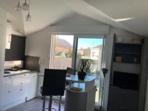 Chaleureux T2 30 m2 et sa terrasse bois 18 m2 - La Repentie