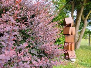 Maisons de vacances Gite dans Parc de Sculptures - Gite 