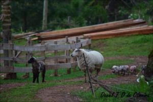 Chácara paraíso dá paz