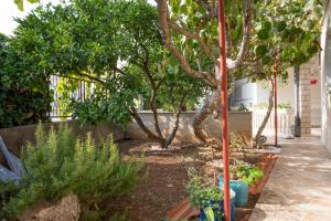 Apartment Marina 5953b