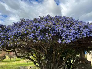 Snowy Mountains Retreat