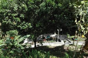 Backyard loft in the heart of the forest