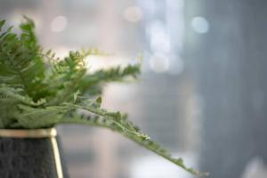 Modern 2 Bedroom Apt Close to CBD （TI140822）