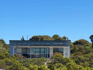 TWO PELICANS Island Beach