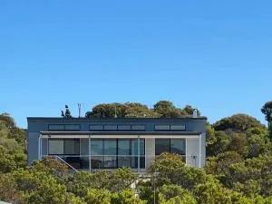 TWO PELICANS Island Beach - Haines