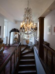 B&B / Chambres d'hotes Au Chantecler : photos des chambres