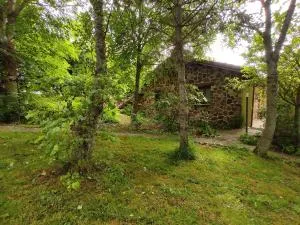 Centro Jardín Mandala - Olea