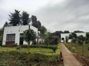 THE PLANTAINS PLACE - Kagio