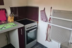 Appartements Charming 63m at 2 steps from Lake Gerardmer : photos des chambres