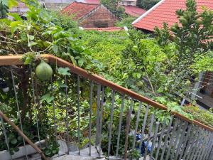 Đường lâm village homestay