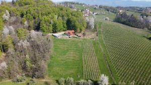 Vineyard cottage Skriti raj