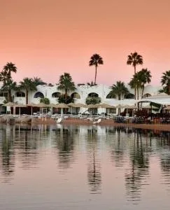 One-Bedroom Apartment at Domina Coral Bay - Шарм-эш-Шейх