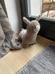 Ferienwohnung Am Rimbach