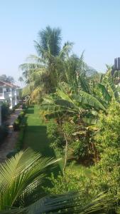 Darolina Guest House