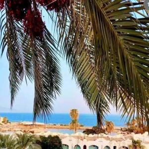 DOMINA CORAL BAY RESORT