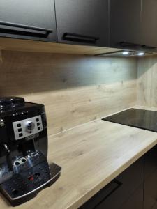 Apartament Zamkowe Wzgórze