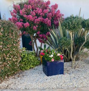 Appartement à l’étage indépendant