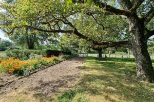 Maisons de vacances Les Noyers Monestois entre Cher et Canal de Berry : photos des chambres