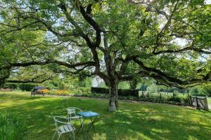 Maisons de vacances Les Noyers Monestois entre Cher et Canal de Berry : photos des chambres