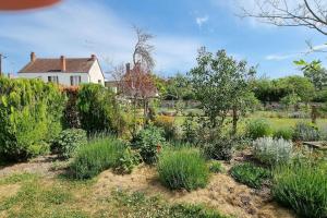 Maisons de vacances Les Noyers Monestois entre Cher et Canal de Berry : photos des chambres