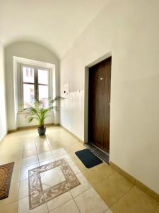 Cozy apartment top location kraków centre