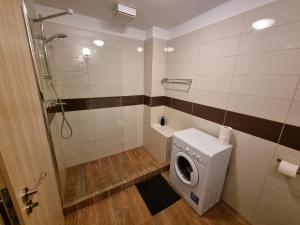 Avram Iancu Private Apartment with AC