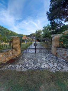 Villa Patrizia img17