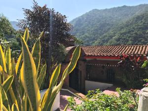 Casa Margarita- escapa a la naturaleza