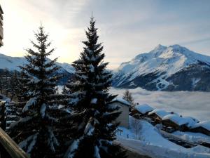 Appartements Studio a La Rosiere - Vue magnifique - Ensoleille : photos des chambres