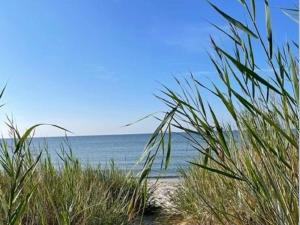 6 person holiday home in LÖTTORP-By Traum