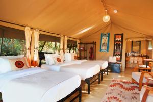 Kinara, a Luxury Collection Safari Camp, Masai Mara
