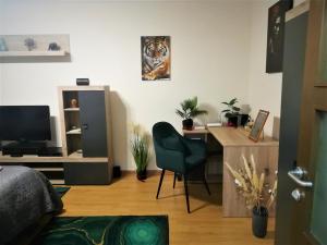 Ummagumma Studio Apartment