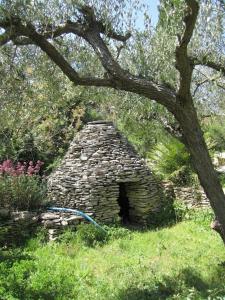 le murmure des oliviers