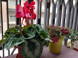 La valigia sul letto