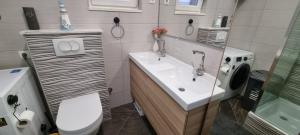 Luxurious three bedrooms apartment with two terraces