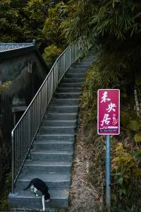 Way Young House - Jinguashi