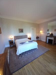 B&B / Chambres d'hotes Chateau Maleplane : photos des chambres