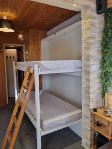 Studio 4 couchages dans un chalet tout confort