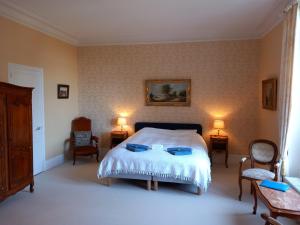 B&B / Chambres d'hotes Chateau Maleplane : photos des chambres