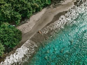 Bell Hall Road, Douglas Bay Cabrits National Park, Portsmouth, Dominica.